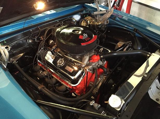 IMG_1413.thumb.JPG.b19a95c68ca1236a258d5