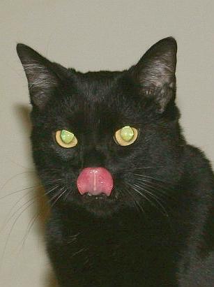 IMG_3377_a.thumb.jpg.16e8892d8f5a1c36713