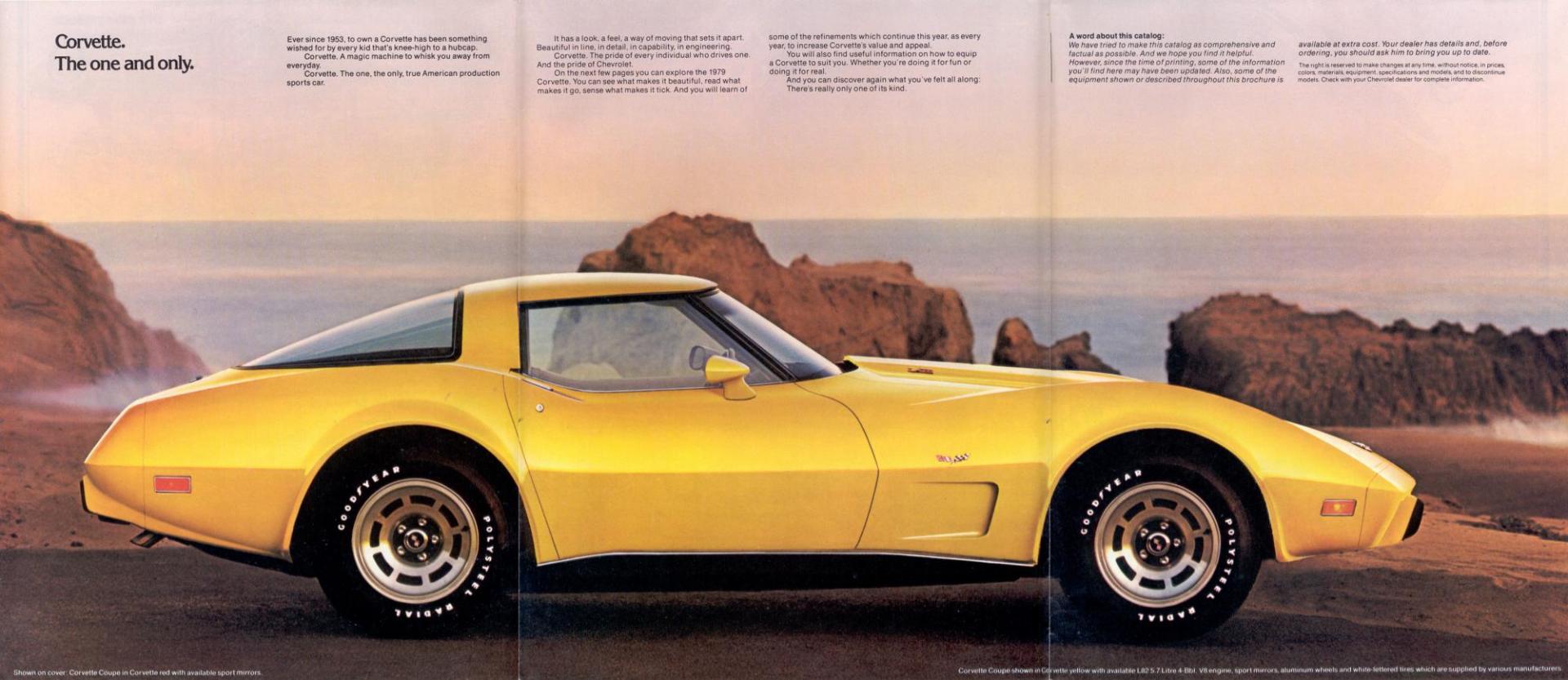 1979corvette_02.thumb.jpg.422163cdc85604