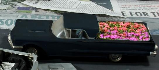 birds189_3_16-vi.thumb.jpg.c6a31b68db76d