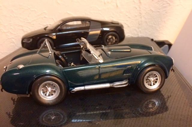 Cobra_8.thumb.jpg.22269314df5f255f21906b