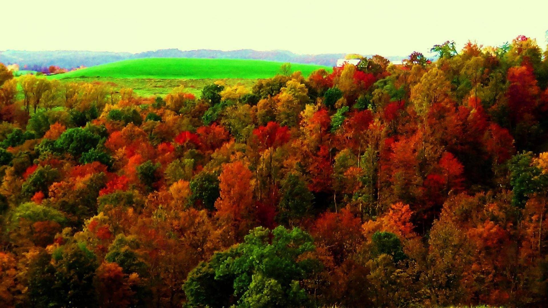 DSC00171.thumb.JPG.12a0bc97dfb1b716d4701