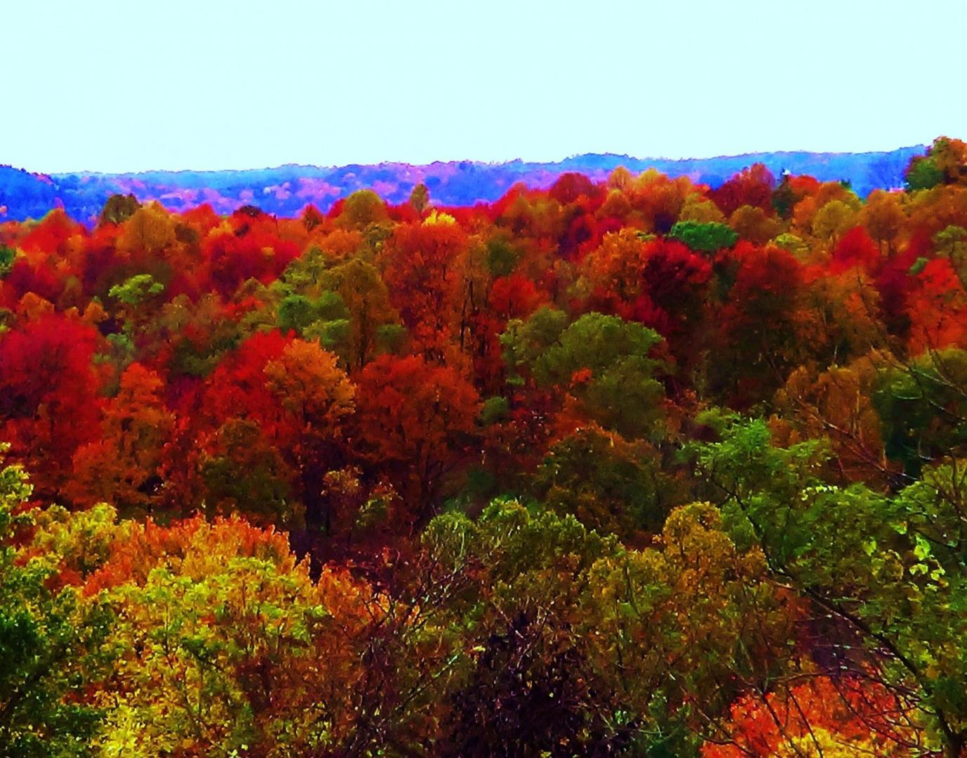 DSC00180.thumb.JPG.720e36708541f054b48fd