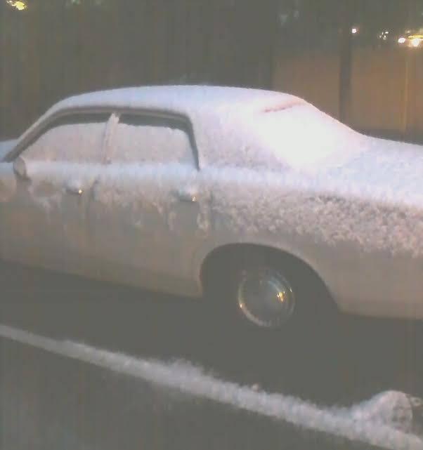 10806319_10205410692847423_3187397397121