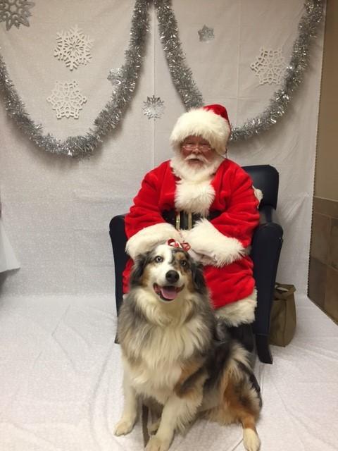 Brian's 1st Christmas  2016.jpg