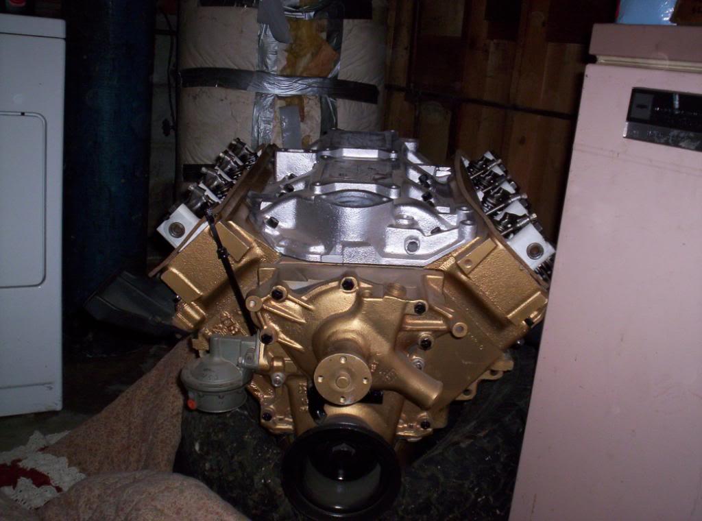 57_318_poly.thumb.jpg.10aef1c89586adb72f