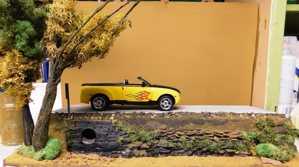 DSCN0045.thumb.jpg.ea2b5ed3d73704ce4c017