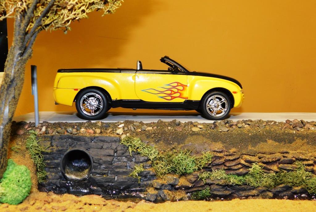 DSCN0047.thumb.jpg.792535261621a8a3a7fc0