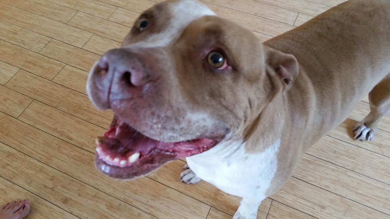 knuckles1.thumb.jpg.a89c41fe189c8ee19f71