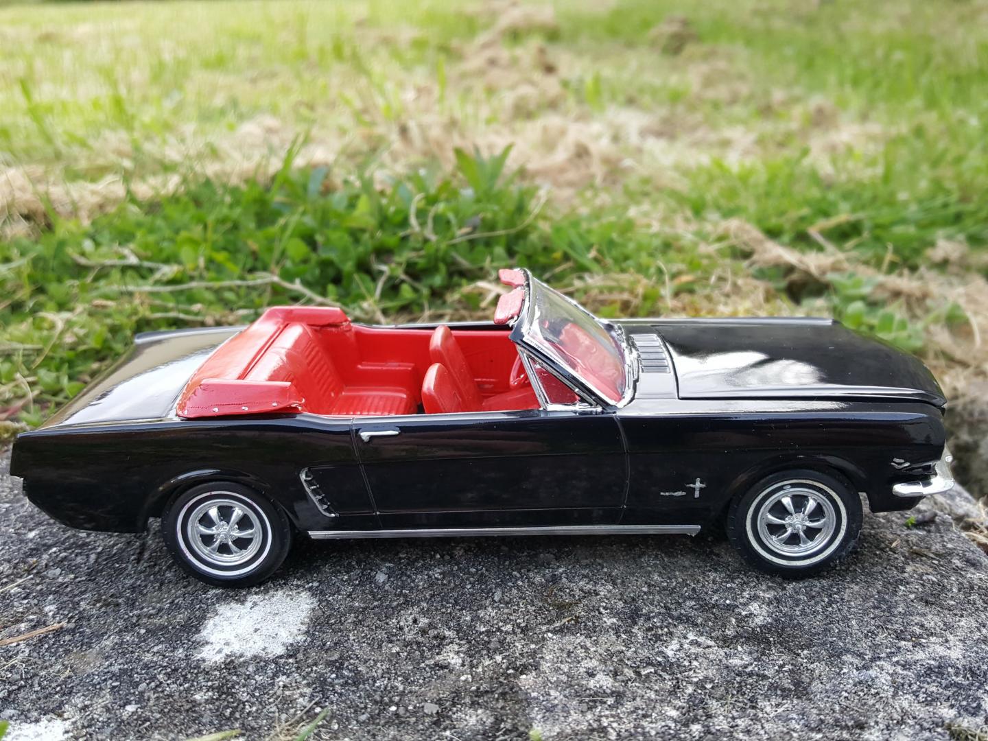 20170410_192424.thumb.jpg.7ed49fdd10df6d