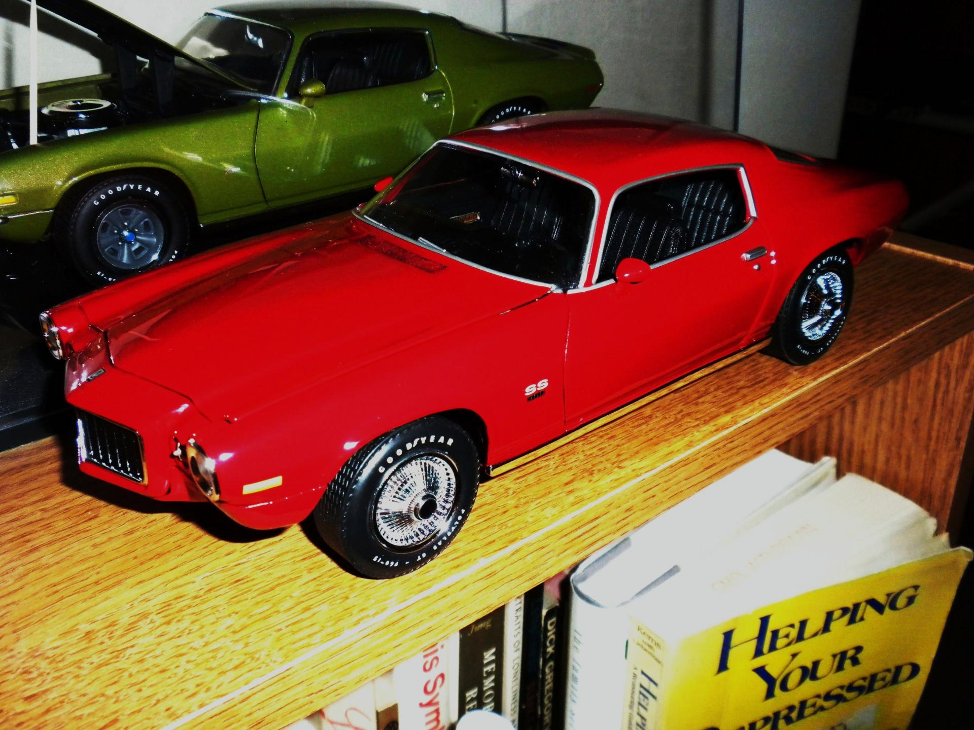 1970_Camaro_SS396_3.thumb.JPG.eb5d398b9d