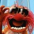 Mr. Muppet