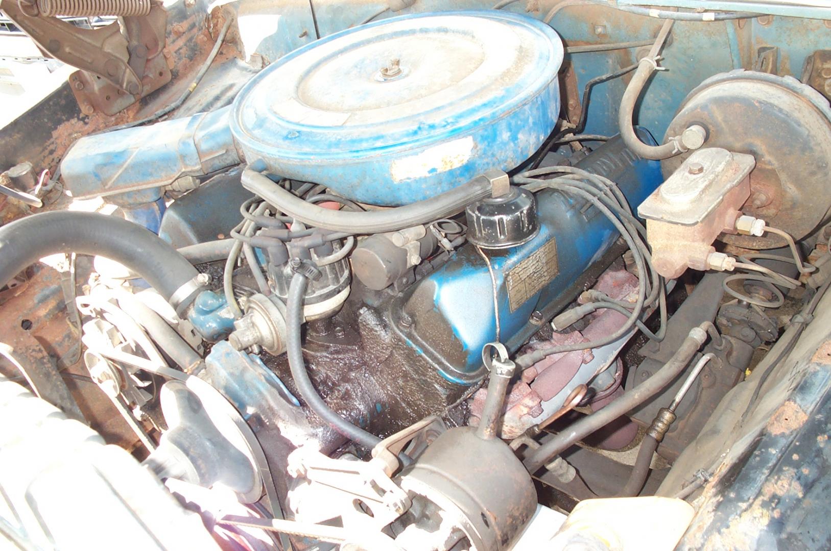 Baby_007.thumb.jpg.9582a1778116c255ac9cb