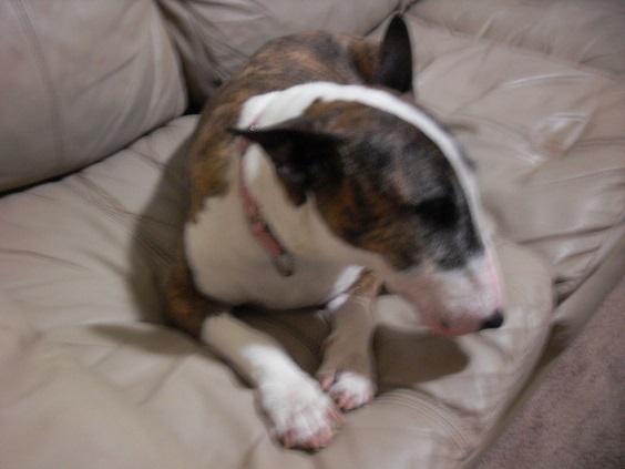 two_months_001.thumb.JPG.45263935971d3ac