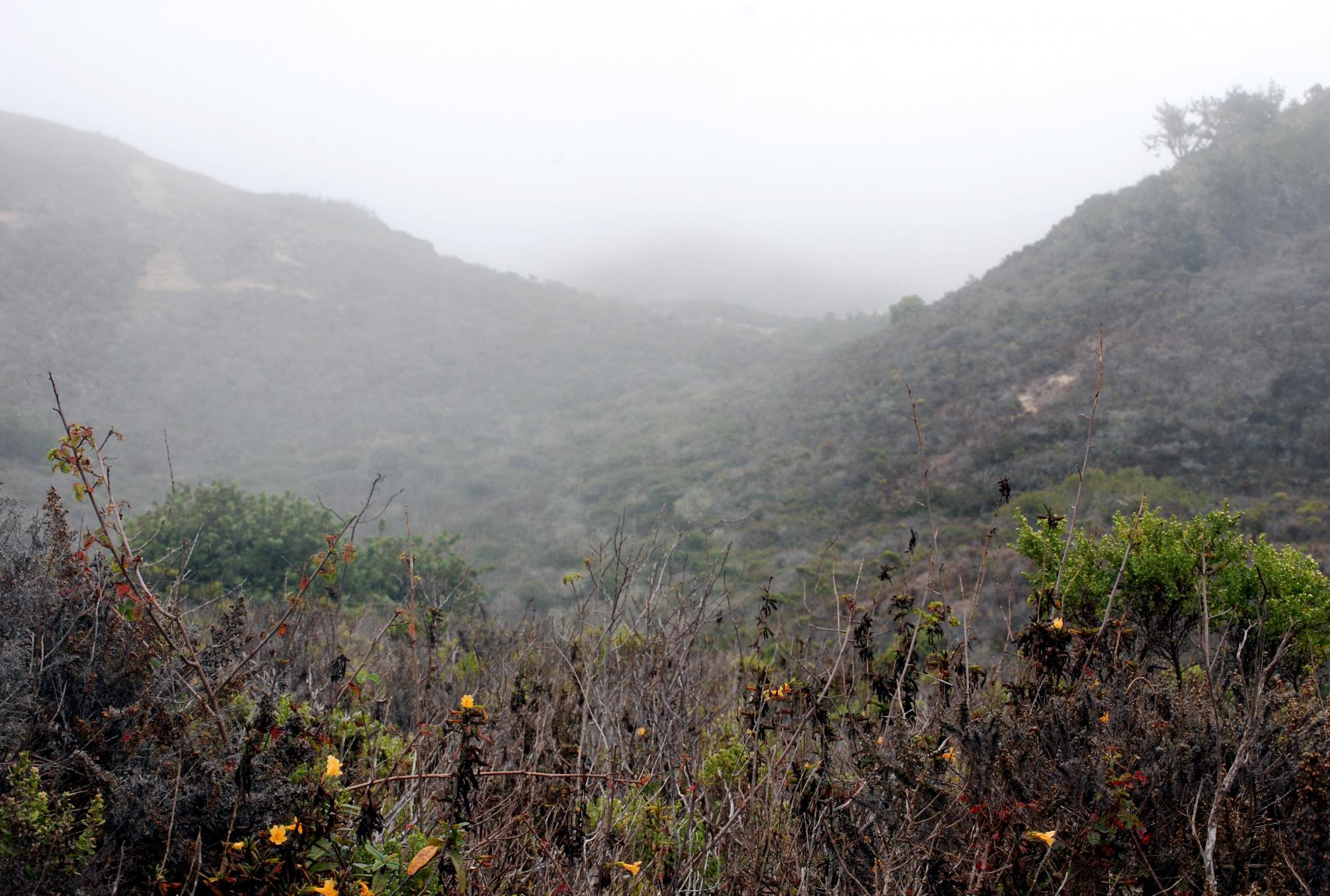 2012-09-27 Smuggler's Cove inland.JPG