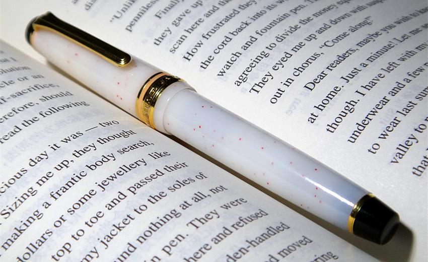 DSC01572.thumb.JPG.bf75b5717917d12d20870