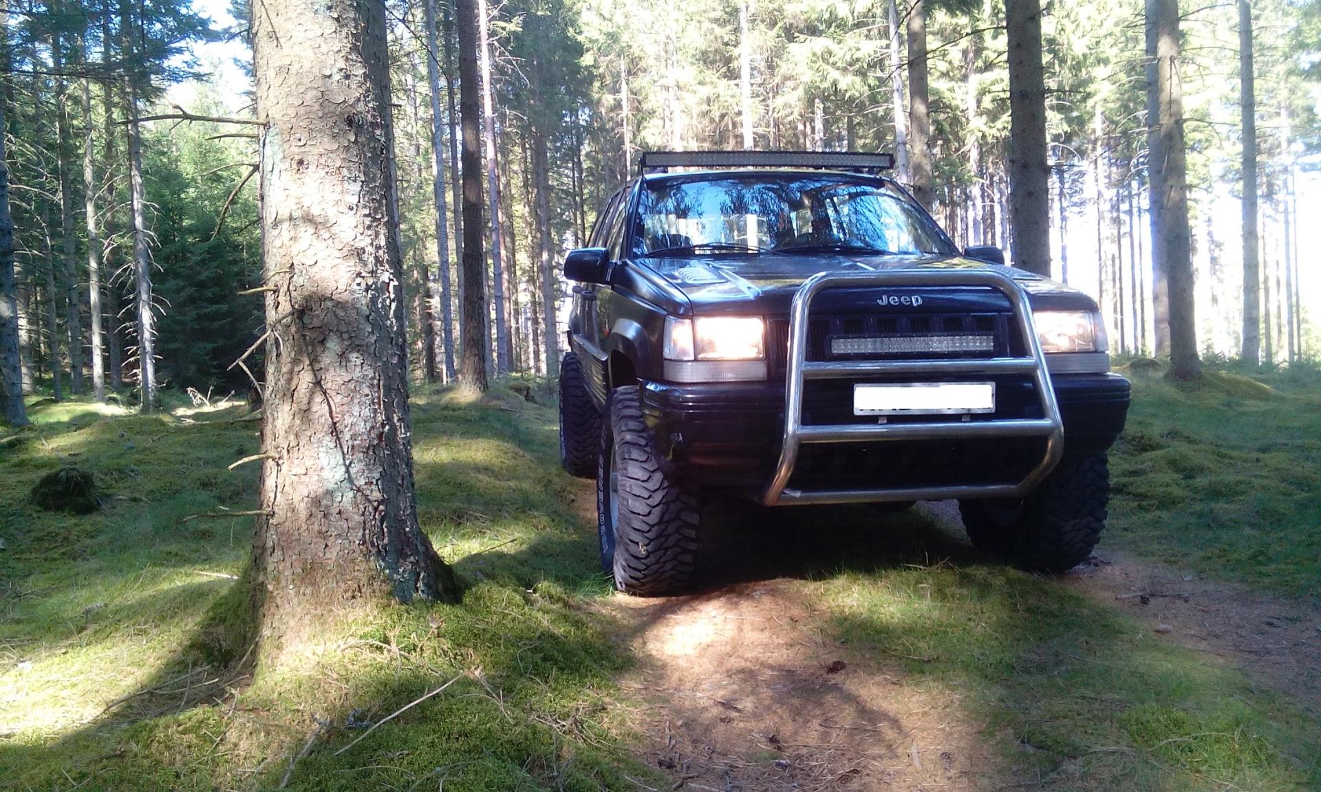 IMG_20170513_160627.thumb.jpg.92b7360fe9