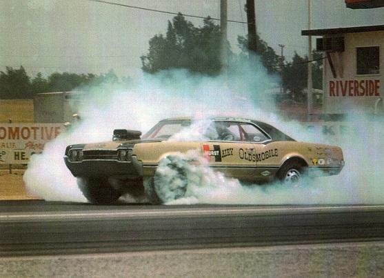 hairy_olds.thumb.jpg.c5a32ec5636ecc3c14c