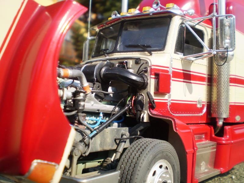 P5031332.thumb.jpg.eba4b4f84895f8d9746e4