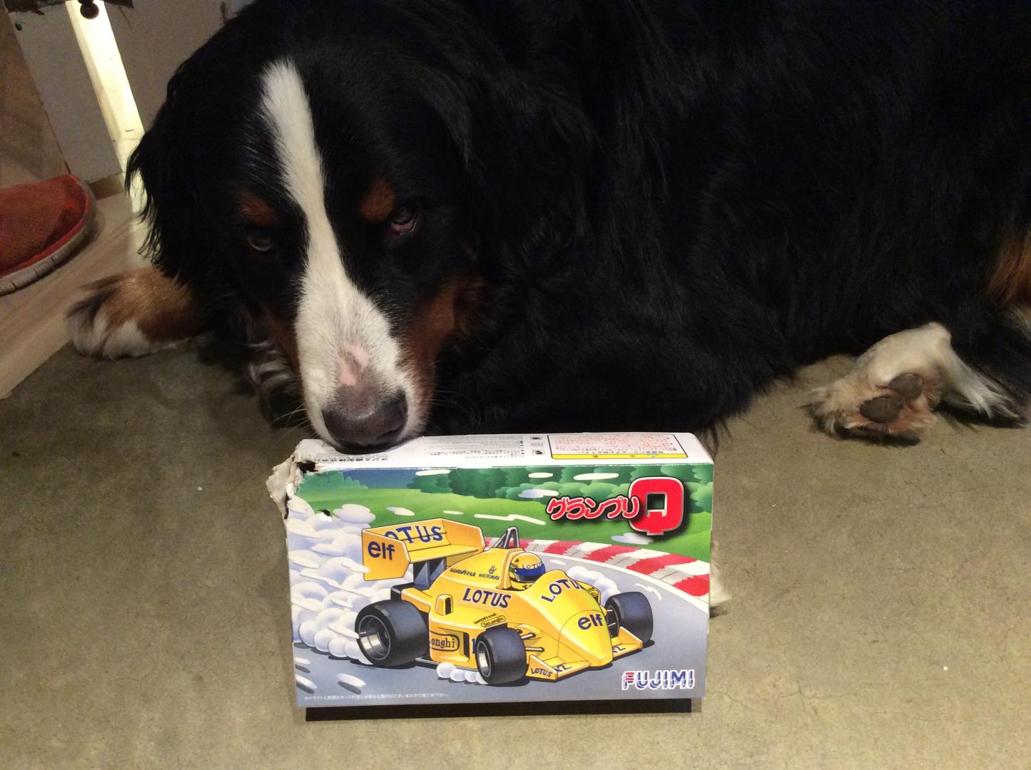 IMG_0422.thumb.JPG.40ba177cb3f54028cef4a