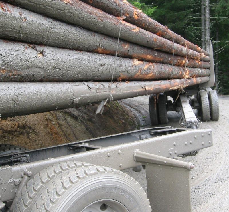 jinker_2_PerfectPhoto.cz_2017-08-04_11-5