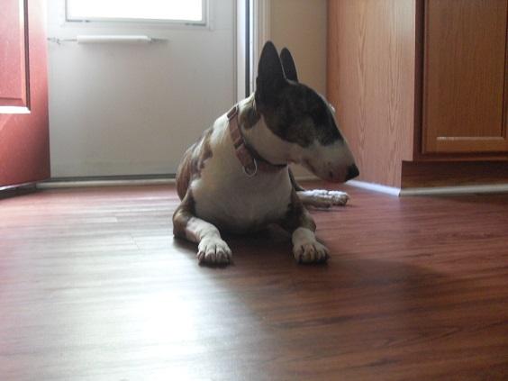 CallieSeptember_001.thumb.JPG.1c23a7ee36