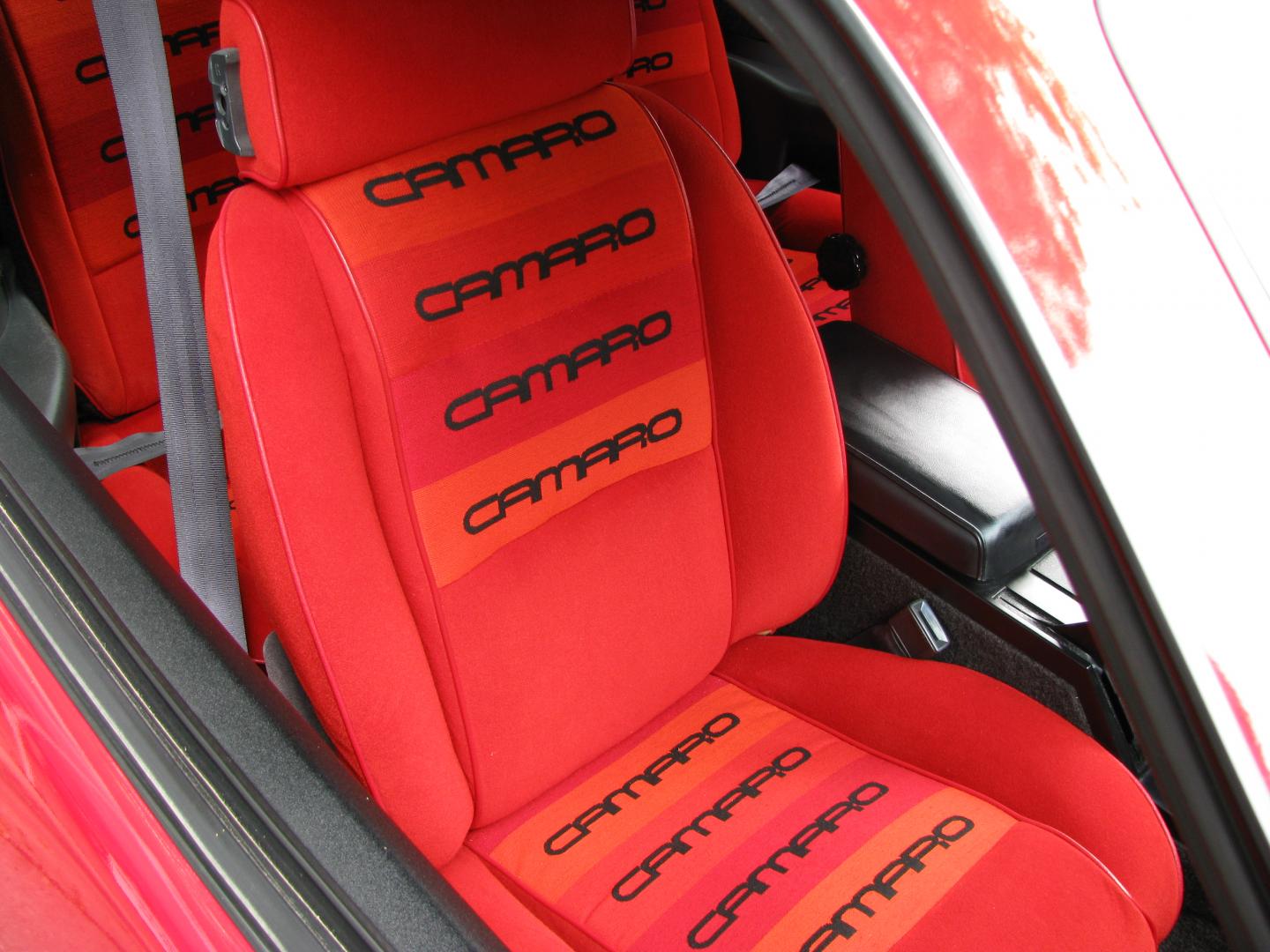 IMG_0070.thumb.JPG.1229dea7d7b044288e8f1