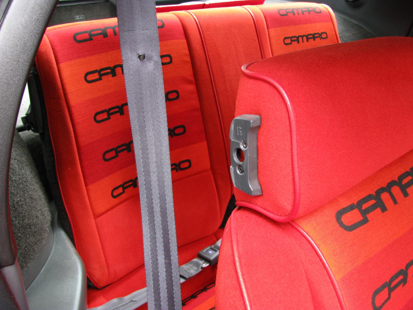 IMG_0071.thumb.JPG.c0d7403c74173d89c1f4c