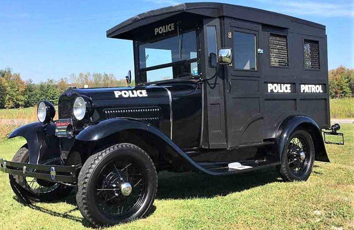 1_paddy_wagon.thumb.jpg.c6e00f1d5d575811