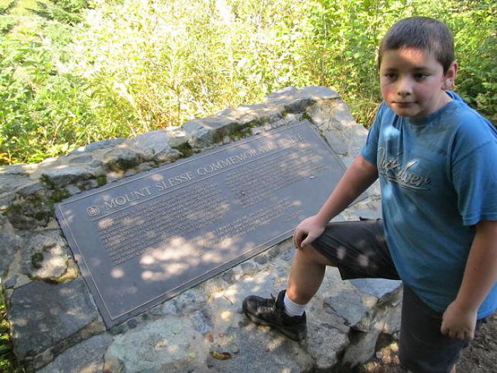 834_opt.thumb.jpg.21329ad05725a849fe4510