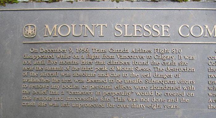 863_opt.thumb.jpg.0e4ba1865e697f174c1380