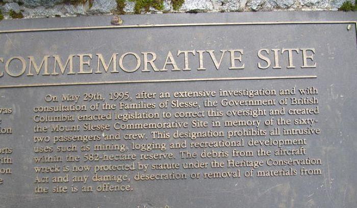 864_opt.thumb.jpg.5b2441e4ff3a01fb907db4