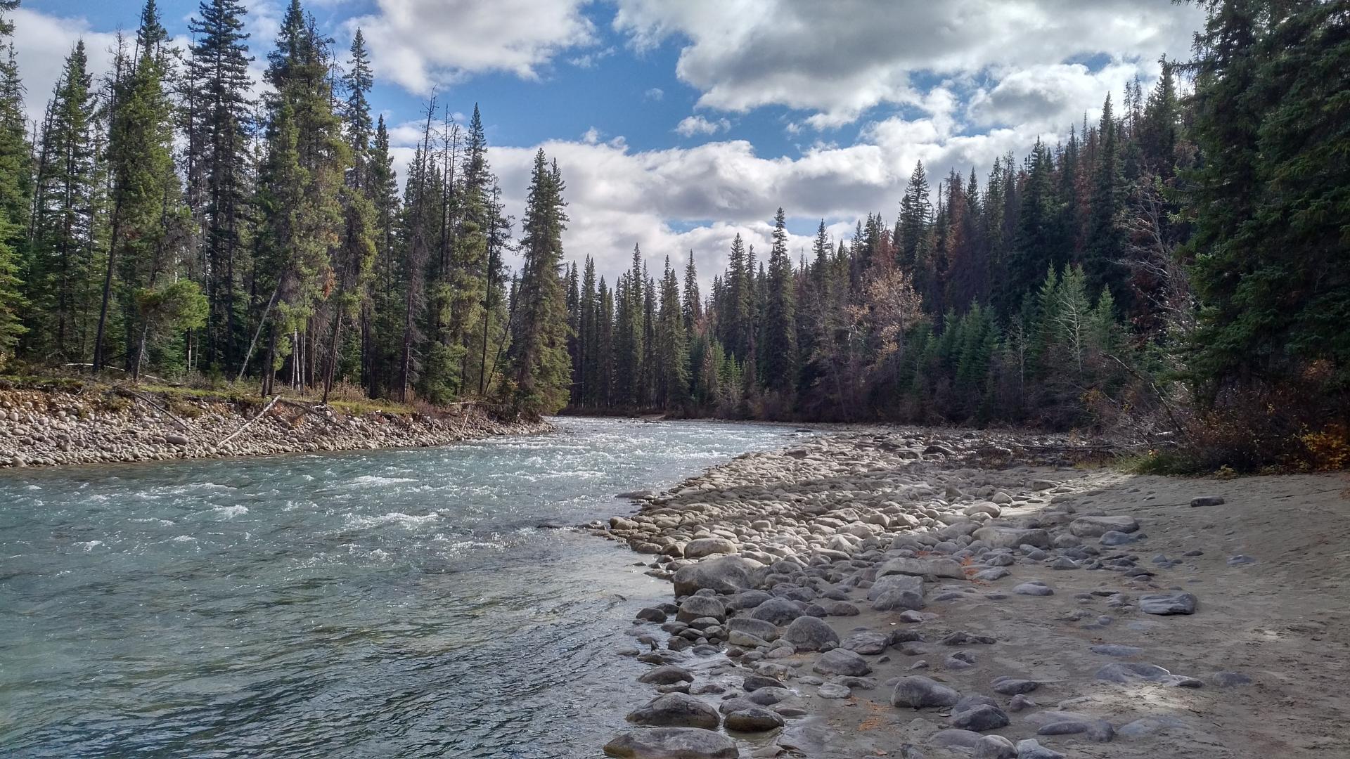 IMG_20171008_1429468.thumb.jpg.0e1f7f378