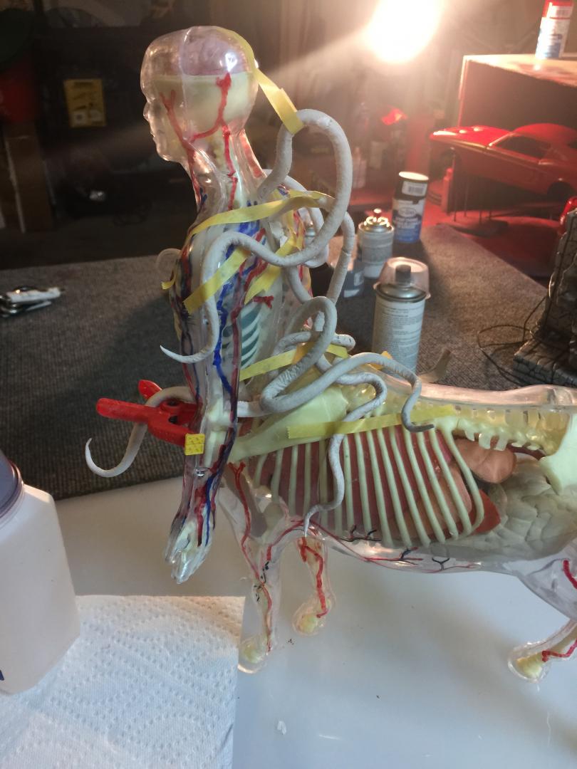 15E9E12E-F3D1-457A-9D39-2963AD57E18B.thu