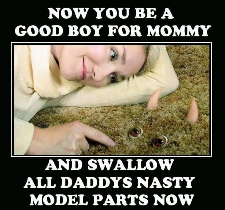 19884472_1833328376984447_12351629047508