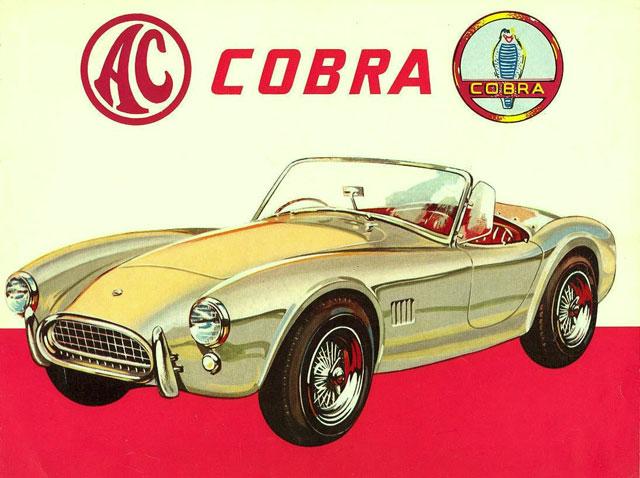 AMT_Cobra_79.thumb.jpg.c0654744f9abe3152