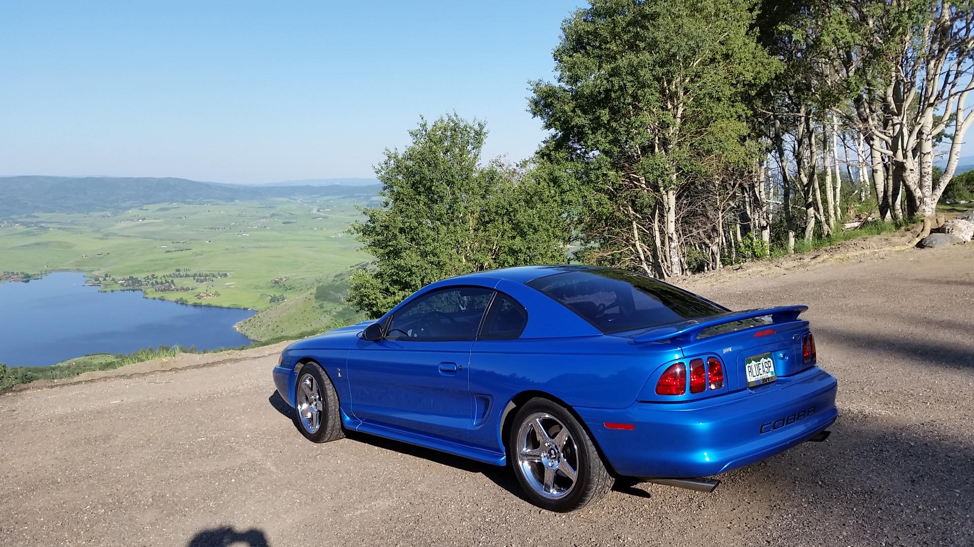 Rocky Mountain Mustang Roundup 2016  (116).jpg