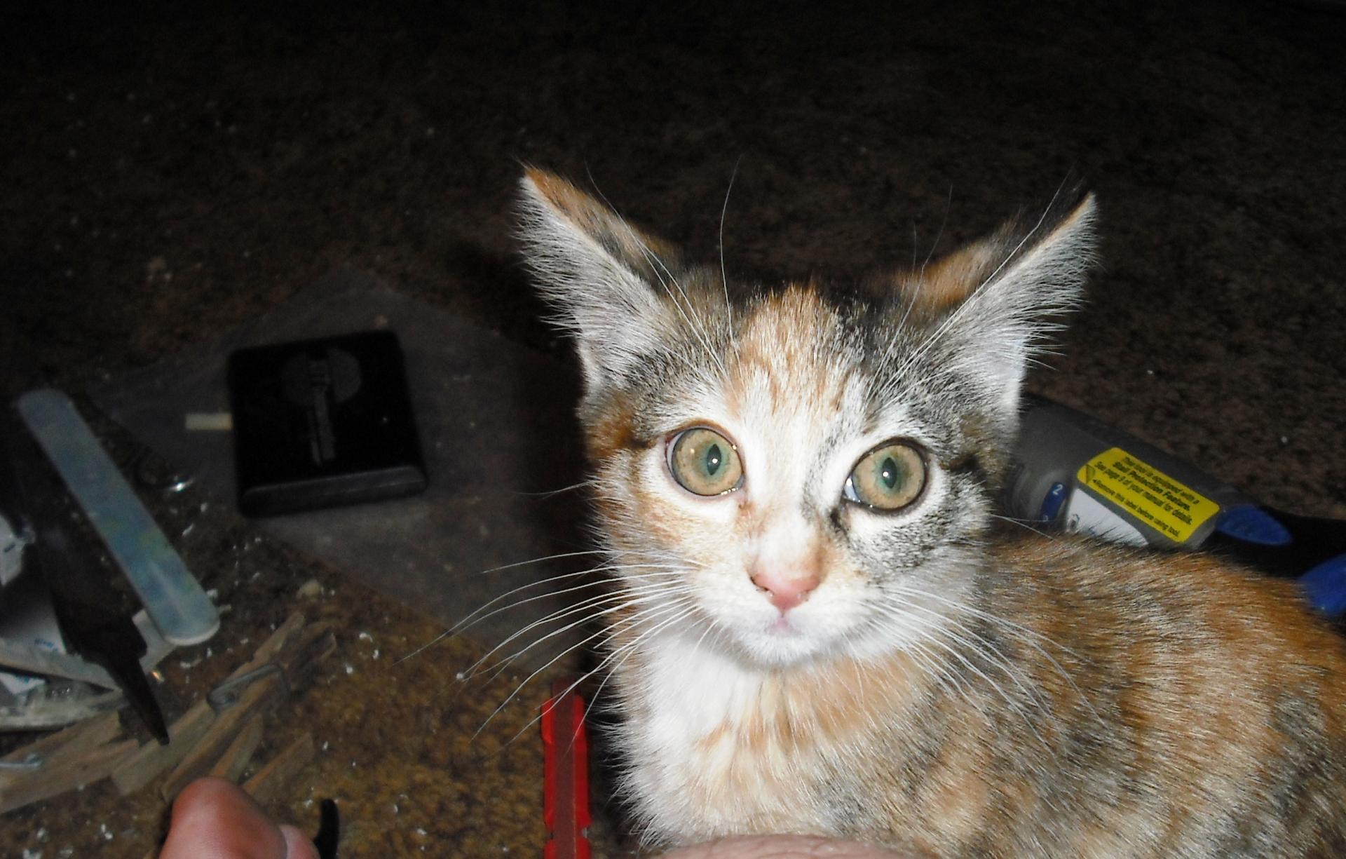 091222  Kylie   (2).JPG