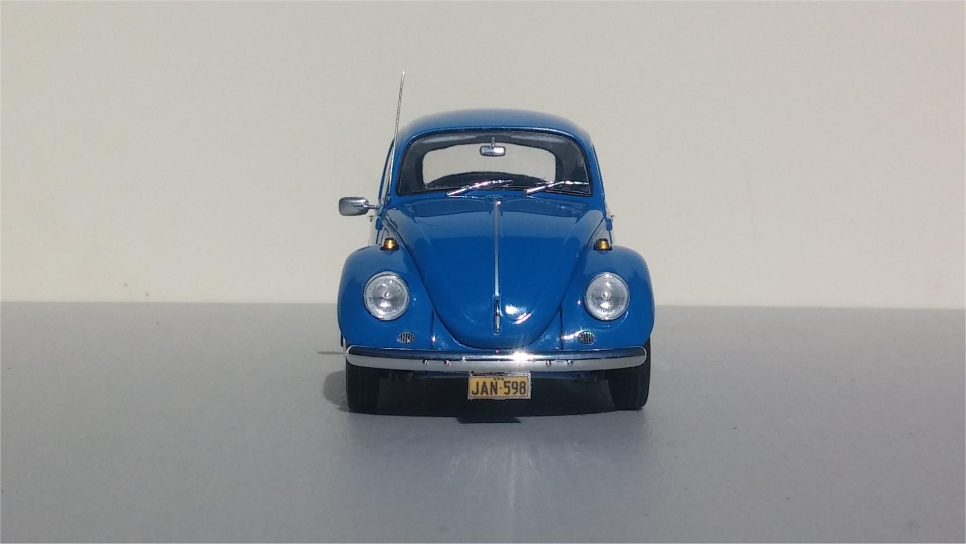 68_Beetle24.thumb.jpg.fac84f4c490facb00466dfe5fd0a875f.jpg