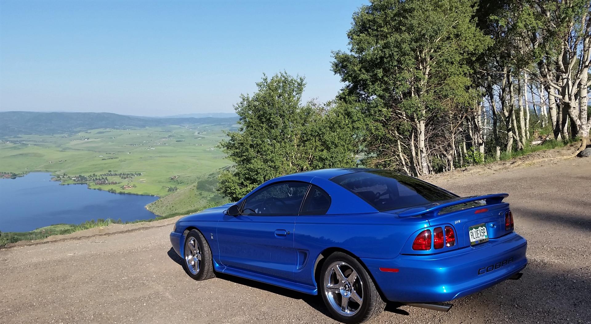 Rocky Mountain Mustang Roundup 2016  (116).jpg