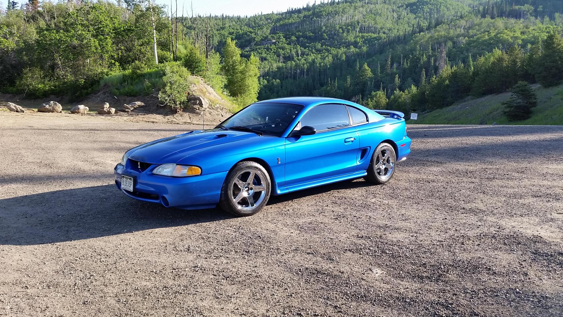 Rocky Mountain Mustang Roundup 2016  (120).jpg