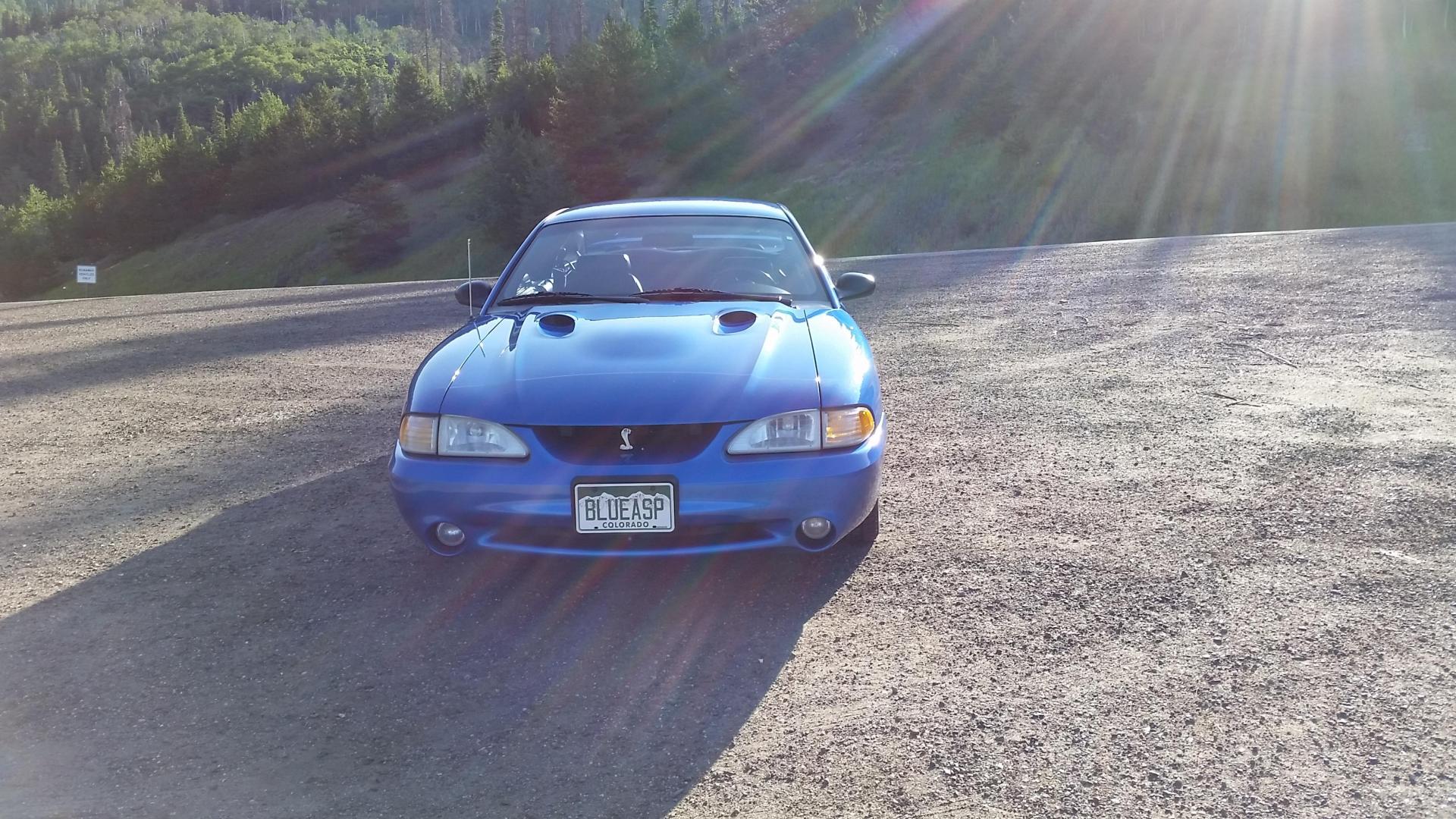 Rocky Mountain Mustang Roundup 2016  (121).jpg