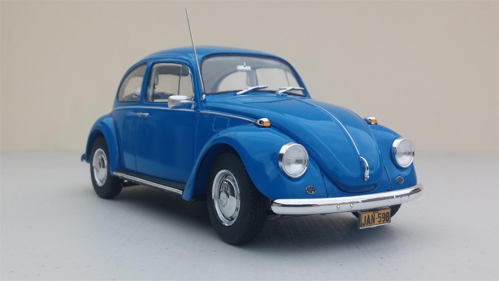 68_Beetle18.thumb.jpg.a98297395ad077487ad4636002ed2f26.jpg