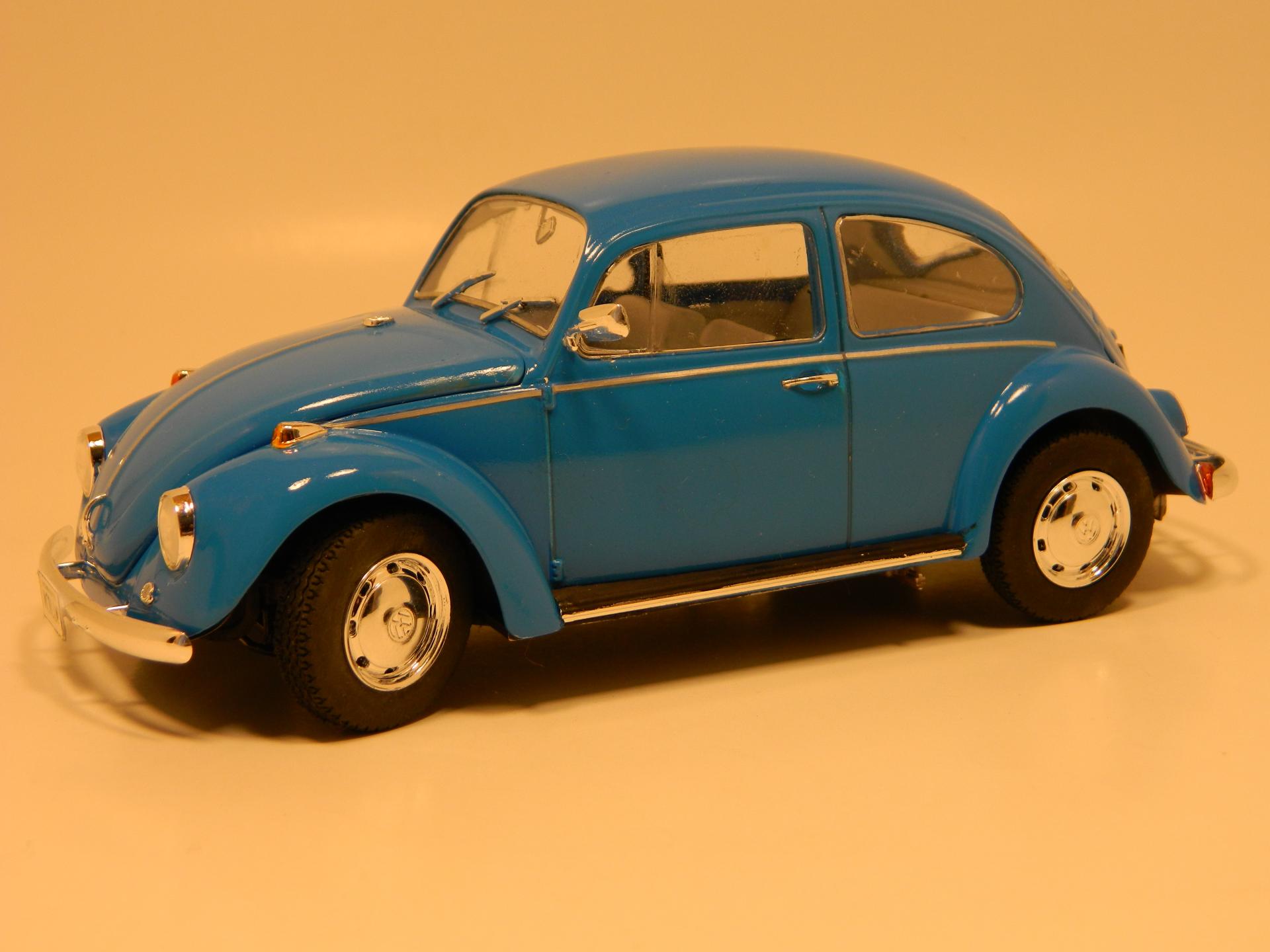 Beetle31.JPG