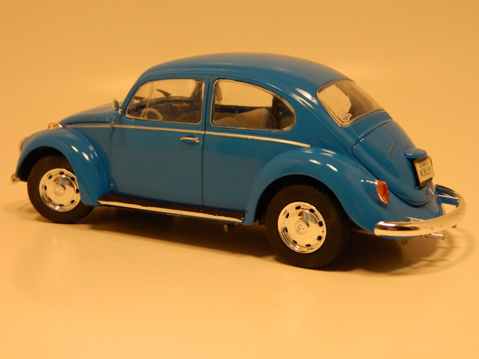 Beetle32.JPG