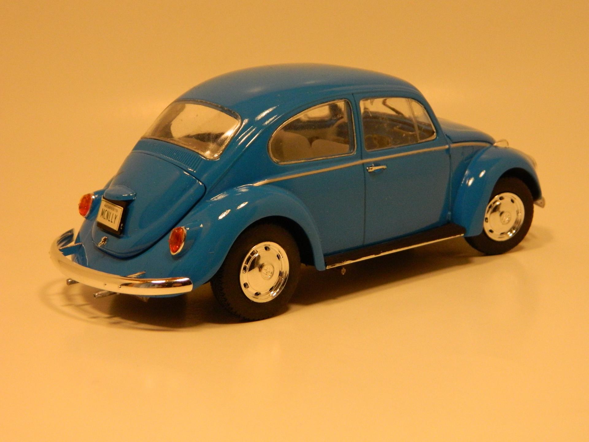Beetle34.JPG