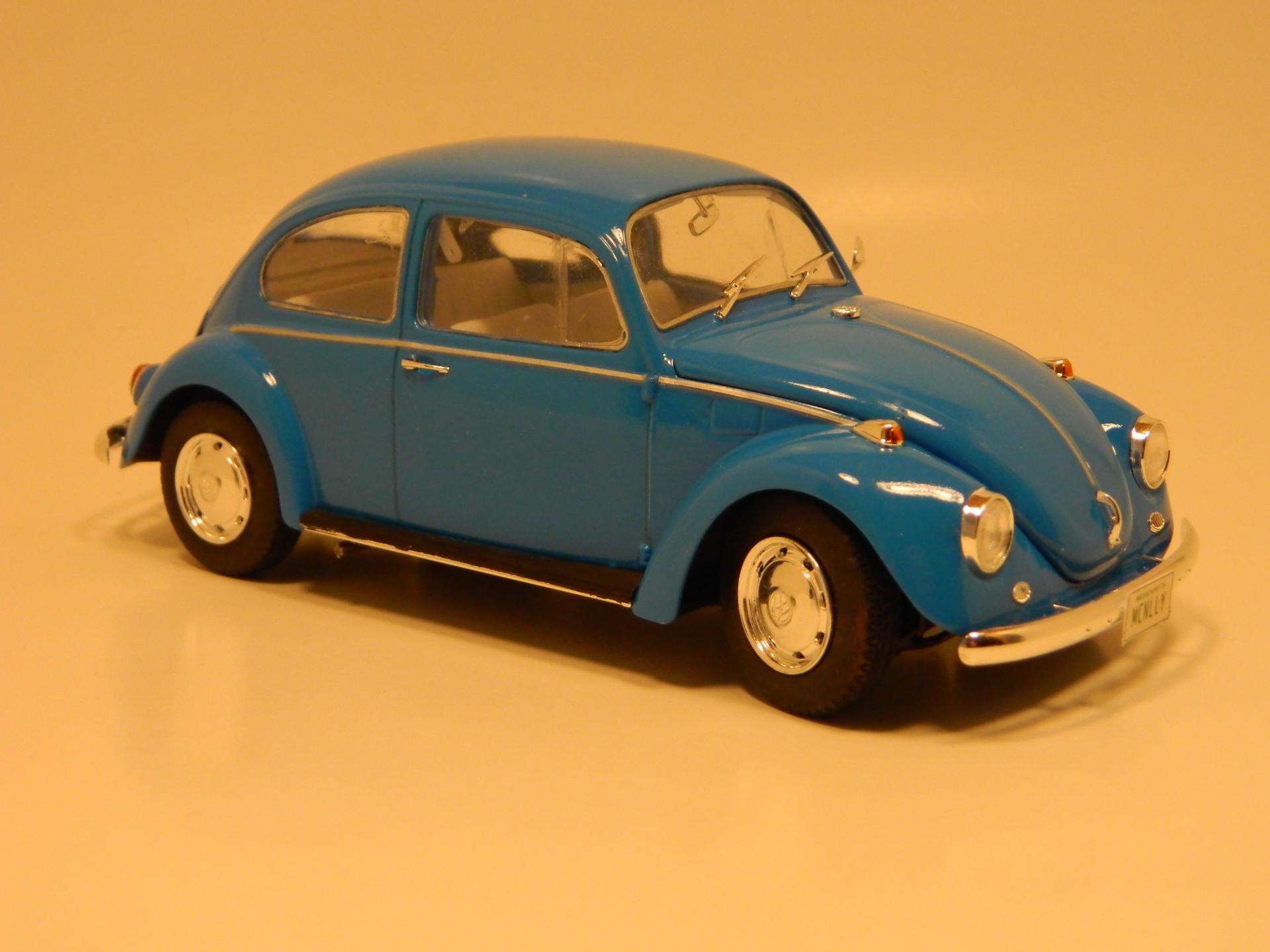 Beetle35.JPG