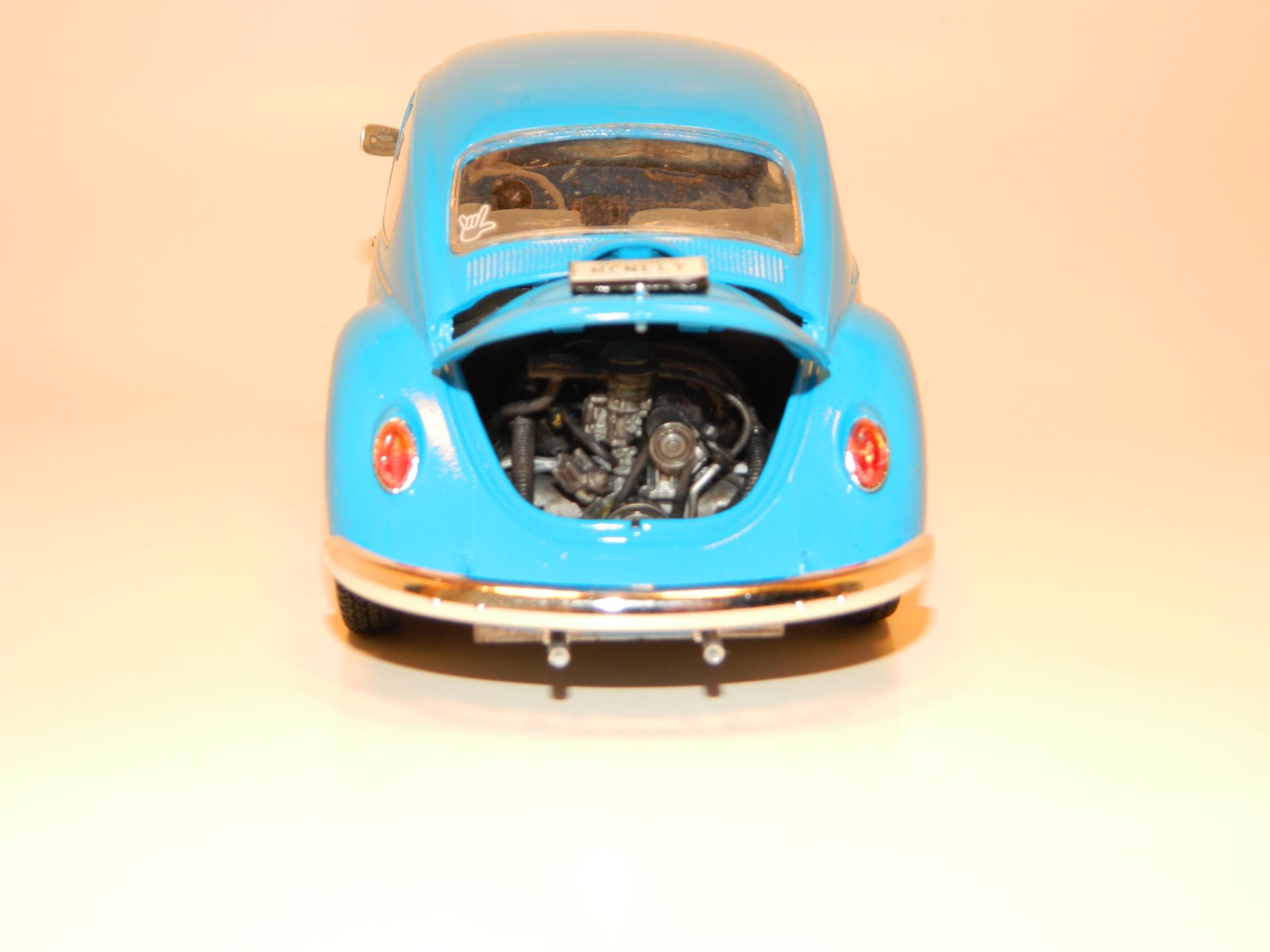 Beetle37.JPG