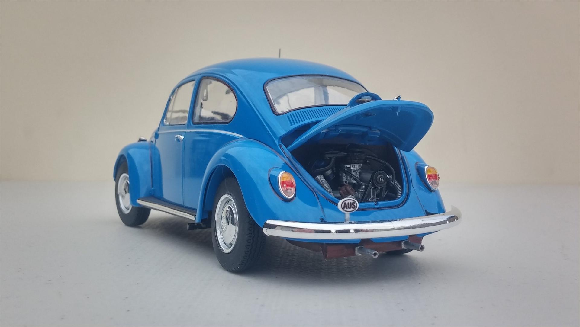 68_Beetle20.thumb.jpg.09b9f9c632c9aadc7c8f19aca8270b54.jpg