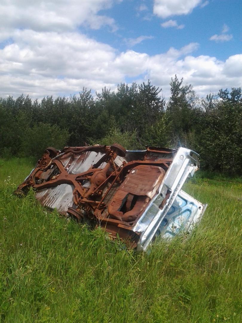 2015-07-18 13.58.09.jpg